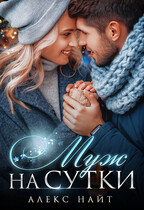Муж на сутки. Сборник рассказов — Алекс Найт