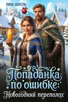 Попаданка по ошибке: новогодний переполох — Лина Дорель