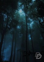 Безвременье — Даниелла Донская