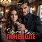 Бухгалтер поневоле — Камилла Рэй