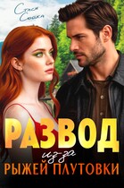 Развод из-за рыжей плутовки — Стася Сойка