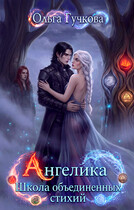 Ангелика. Школа объединенных стихий — Ольга Гучкова