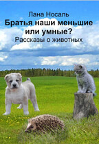 Братья наши меньшие или умные? — Лана Носаль