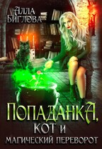 Попаданка, кот и магический переворот — Алла Биглова
