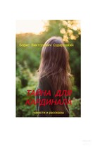 Тайна для кардинала — Борис Викторович Сударушкин