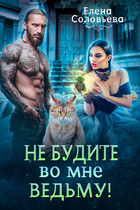 Не будите во мне ведьму — Елена Соловьева