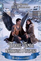 Принц Тьмы: каникулы в сугробе — Элен Верниковская
                                                                                                            
                                                                                                                                                                                                                                        ,
                                                                
                                                                                                                                            Агата Вебер