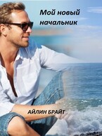 Мой новый начальник — Айлин Брайт