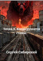 Точка Х. Когда рушатся стены — Сергей Сибирский
