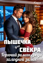 Пышечка для свёкра. Горячий роман среди холодной зимы — Кара Мин