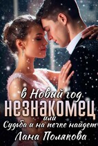 Незнакомец в Новый год или судьба и на печке найдет — Лана Полякова