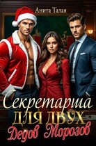 Секретарша для двух Дедов Морозов — Анита Талая
