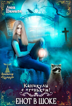 Каникулы с огоньком. Енот в шоке — Лина Шамаева