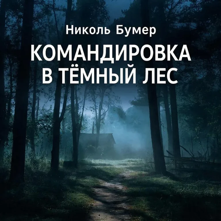 Командировка в темный лес — Николь Бумер
