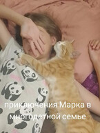 Приключения Марка в многодетной семье. — Елена Лемдясова