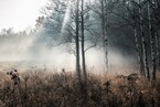 В туман — Постников Юрий