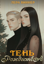 Тень Рождества — Лера Виннер