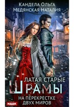 Латая старые шрамы. Книга 2. На перекрестке миров — Кандела Ольга, Медянская Наталия