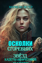 Осколки сгоревших звёзд. Книга 1. Кадеты Нефритовой Академии — Морвейн Ветер