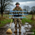 Шваброносец или как Валера в гости ходил — Николь Бумер
