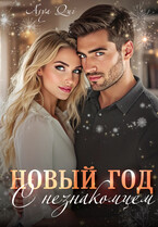 Новый Год с незнакомцем — Asya Qui