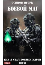 Боевой маг. Книга 1. Как я стал боевым магом — Осипов Игорь