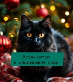 Встретимся в следующем году — Настасия Ермаkkk
