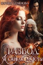 Развод: я сжигаю мосты — Карина Семёнова