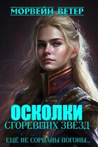 Осколки сгоревших звёзд. Книга 2. Ещё не сорваны погоны — Морвейн Ветер