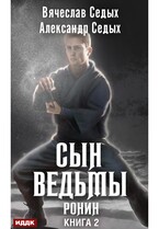 Сын ведьмы. Книга 2. Ронин — Седых Александр, Седых Вячеслав