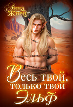Весь твой, только твой эльф — Анна Жнец
