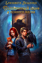 Поломанный шкаф и немного магии — Елизавета Лещенко