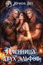 Пленница двух эльфов — Ирион Зет