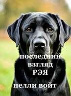 Последний взгляд Рэя — Нелли Войт