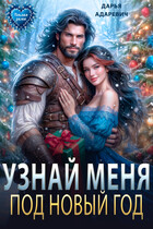 Узнай меня под Новый Год — Дарья Адаревич