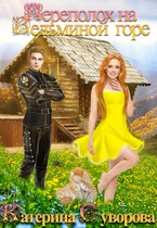 Переполох на Ведьминой горе — Катерина Суворова