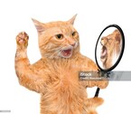 Испорченный праздник или один день из жизни кота Кузьмы — Fantanella