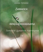 Записки непрофессионала. Помнится. Думается. Чувствуется. — Ирина Бечина