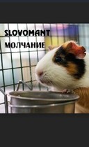 Молчание — Slovomant