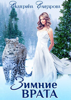 Зимние врата — Екатерина Елизарова