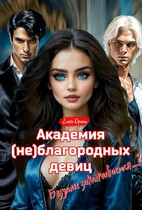 Академия (не)благородных девиц. Безумие заканчивается…? — Елена Дриим