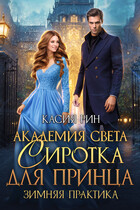 Академия света. Сиротка для принца. Зимняя практика — Касия Рин