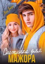 Снежинка для мажора — Мэри Бэйри