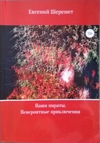 Наши пираты. Невероятные приключения — Евгений Шеремет