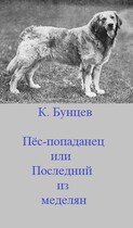 Пёс-попаданец, или Последний из меделян — Константин Бунцев