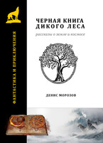 Черная книга Дикого леса — Денис Морозов