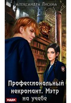 Профессиональный некромант. Книга 2. Мэтр на учебе — Лисина Александра