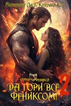 Да гори всё… Фениксом! Том 2 — Анжелика Лиса, Катерина Кот