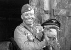 Не многие вернулись с поля… — Андрей Ланиус