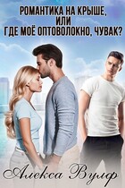Романтика на крыше, или Где моё оптоволокно, чувак? — Алекса Вулф